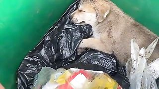 ТікТок 44