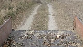 Робота 5