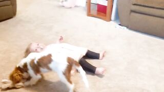 cut baby and dog are bet friends funny video.,,,,,2023