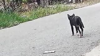 Let me go