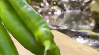 Tasty Kebab in Nature.