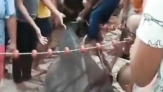 #shorts فيديو مسكوها قرش فى محافظه الغردقه (فيديو القرش)