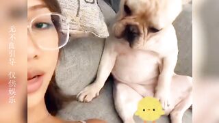盘点动物的老六行为