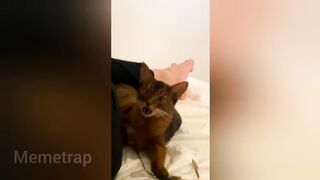 THE *FUNNIEST* TIK TOK MEMES Of May 2023 ???? 3