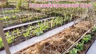 КОНСТРУКЦИЯ ЗА КРАСТАВИЧКИ