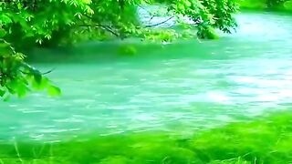 Unveiling the Enchanting Tapestry of Natural Beauty"