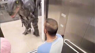 ТікТок 56