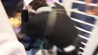 ???????????? 115