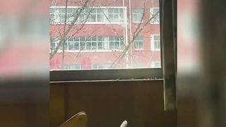 Funny Dogs Reaction Moments - Funniest Animals Video ???????? 2023