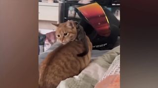 Приколи 16