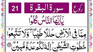 Surah_Al_Baqarah_Ruku_21___Panipatti_Tilawat_by_Hafiz_Muzzammil___Surah_Baqarah_168-176(360p).