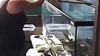 Anaconda 5