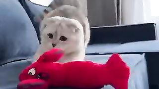 Cate love