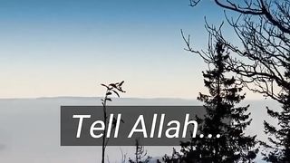 TELL ALLAH