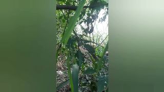 SCARE-CAM-Priceless-Reactions-172-Imposs_24.