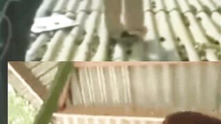 Detik-detik orang ini hilang