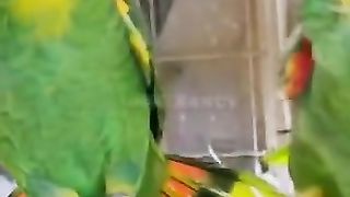 Bird's lover♥️ 106
