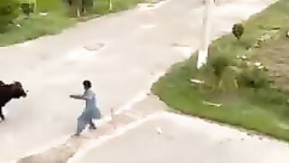 Funnyman 4