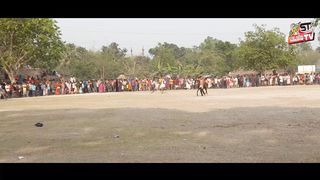 The largest horse fair in Dinajpur Bangladesh 2023
