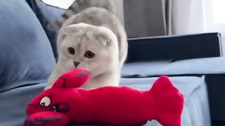 Cating my