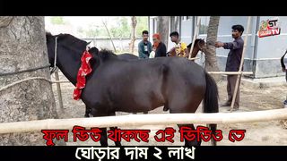 Bangladesh Titanic Horse Race 2023 #বাংলাদেশের দিনাজপুর জেলায়