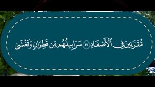 القرآن الکریم 19