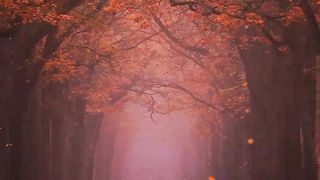 Beautiful video 29