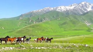 行走中国-美丽新疆1（Walk In China-Beautiful Xinjiang-1）