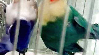 Bird's lover♥️ 110