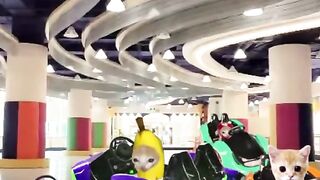 Banana cat eps 5