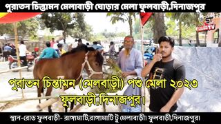 পারলে ঠেকাও ঘোড়া দাম মাত্র ৩৪ হাজার the horse is only 34 thousand