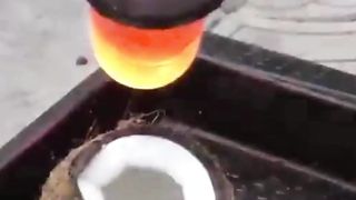 What will happen if Lava is put in Coconut