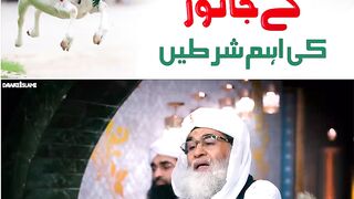 Qurbani Kay Janwar Ki Aham Shartein