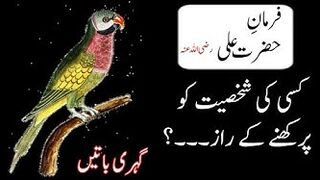 Beautiful Aqwal Hazrat Ali in Urdu / Aqwal e Zareen in urdu /A.R.Voice