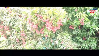 দিনাজপুর প্রাচীন সকল ঐতিহ্য ও সৌন্দর্য Dinajpur ancient traditions and beauty