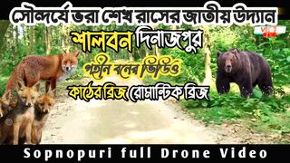 দিনাজপুর নবাবগঞ্জ শালবন পশুপাখি শিয়াল