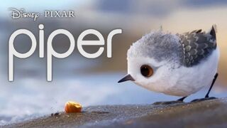 A Little Cute Piper - Best Animated Short Films 2021 - Motivational & Inspirational