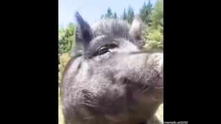 funny part 2