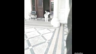 Funny part 3