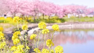 Beautiful Nature Tilawat ????????????
