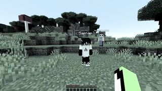 Minecraft speedrunner vs 2 assassins