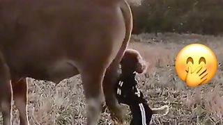 Приколи 19
