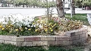 МЕЛОДИЯ ДЛЯ ДУШИ 2