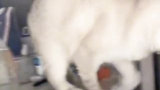 Приколи 22