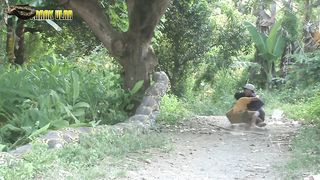Prank Ular Paling Ngakak | bikin orang kampung oleng sampe pingsan gegara melihat ular piton raksasa