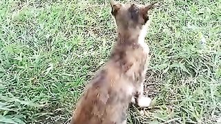 After bring ostracized by friends