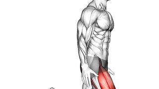 Full Shoulder Workout #shoulderday