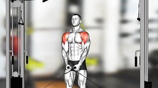 Full Shoulder Workout