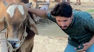 Badmash Janwar Qurbani 2023