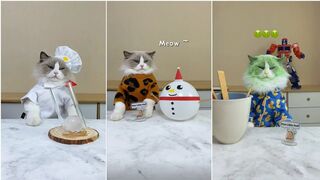 Cats make food 2023 "That Little Puff" Tiktok Compilation #3